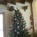 乐克洛斯德赛尼斯旅馆 4* Anould