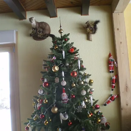 ル クロ デ ゾルヌ 4* アヌー