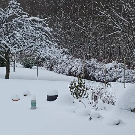 ル クロ デ ゾルヌ アヌー