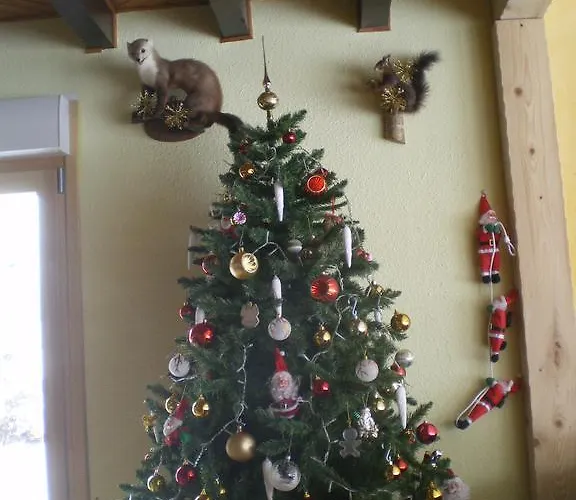 Le Clos Des Aulnes 4* Anould