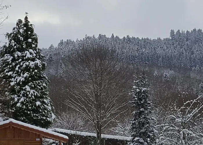 Bed & Breakfast Le Clos Des Aulnes Anould