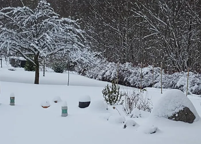 Le Clos Des Aulnes Anould